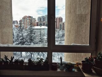 Ankara Kuru Soğan Fiyatları Soğan Fiyatlarının Belirlenmesi