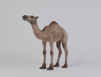 Camel White Fiyat - Camel Black Fiyat - Camel Çeşitleri