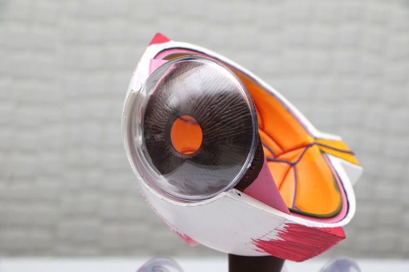 Dereceli Lens Fiyatları - Numaralı Şeffaf Lens Fiyatı! Dereceli Lens Fiyatları - Numaralı Şeffaf Lens Fiyatı!