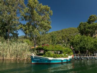 Fethiye Hal Fiyatları - Muğla Hal Fiyatları - Ortaca Hal Fiyatları