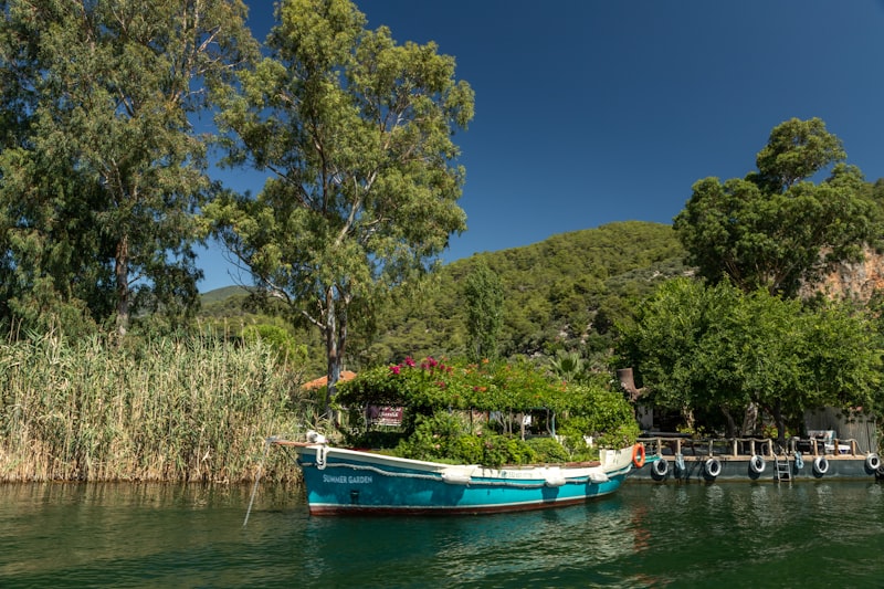 Fethiye Hal Fiyatları - Muğla Hal Fiyatları - Ortaca Hal Fiyatları