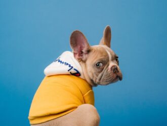 Hurda Pet Şişe Fiyatları - Plastik Pet Şişe Fiyatları