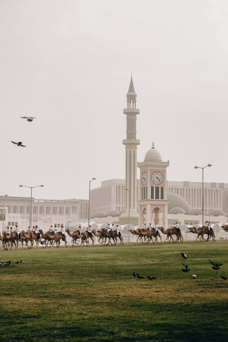 Katar Araba Fiyatları - Sıfır ve İkinci El Arabalar Ne Kadar?