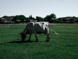 Kayseri Hal Fiyatları - Kayseri Sebze Hali Fiyatları - Güncel!