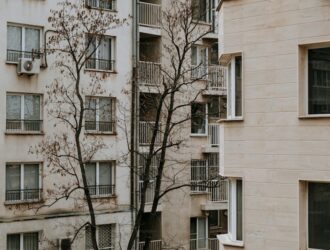 Keglevich Fiyat - Keglevich Kavun Fiyat