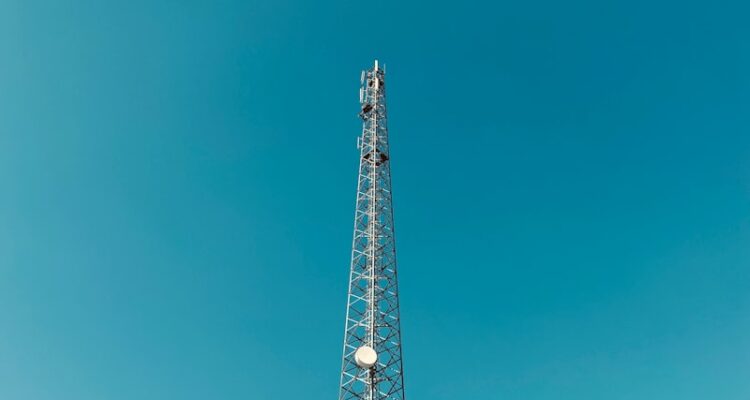 Konya Hal Fiyatları - Güncel Sebze Meyve Hal Fiyatları