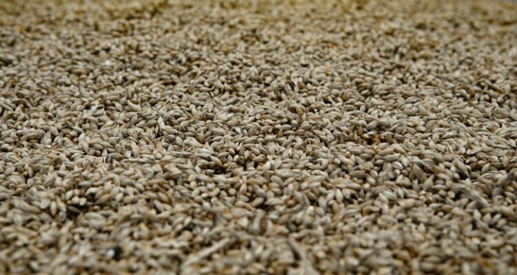 Lagavulin Viski Fiyat - Lagavulin Viski Fiyatları