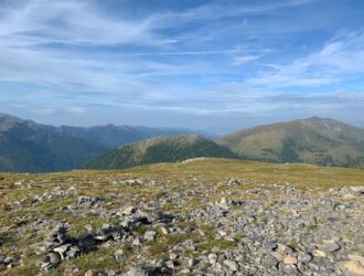 Madecassol Krem Fiyatı - Eczanelerde Reçetesiz Fiyatı