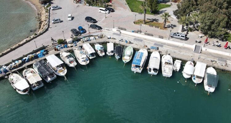 Majezik Boğaz Spreyi Fiyat - Eczane'de Ne Kadar?