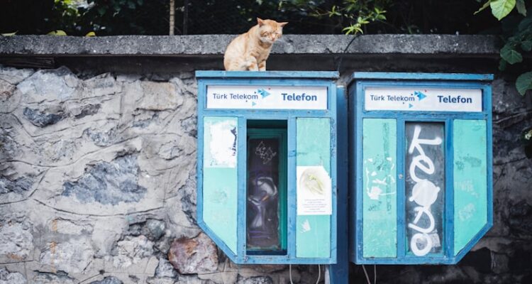 Makedonya Telefon Fiyatları - Uygun Fiyata iPhone 14!