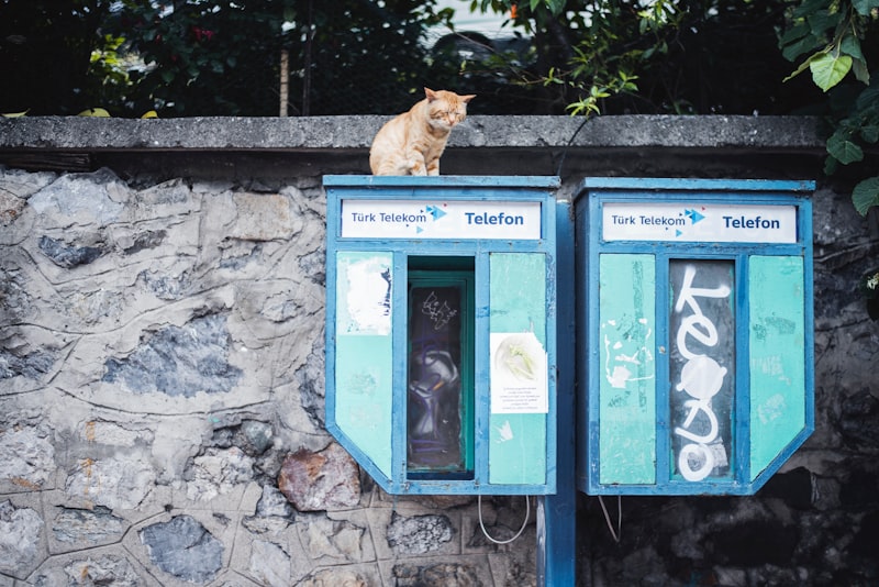 Makedonya Telefon Fiyatları - Uygun Fiyata iPhone 14!