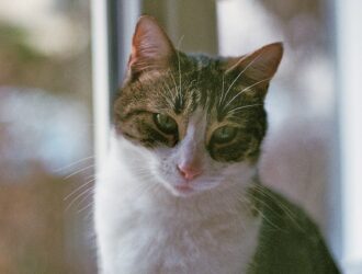 Marla Makaron Filtre Fiyatları - Toptan Makaron Fiyatı