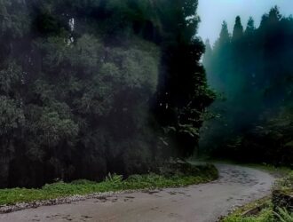 Migros Bira Fiyatları - Efes, Bomonti, Heineken Fiyatları!