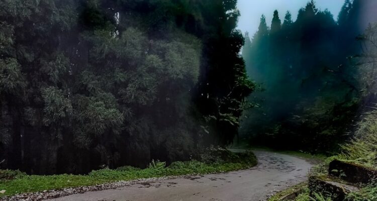 Migros Bira Fiyatları - Efes, Bomonti, Heineken Fiyatları!