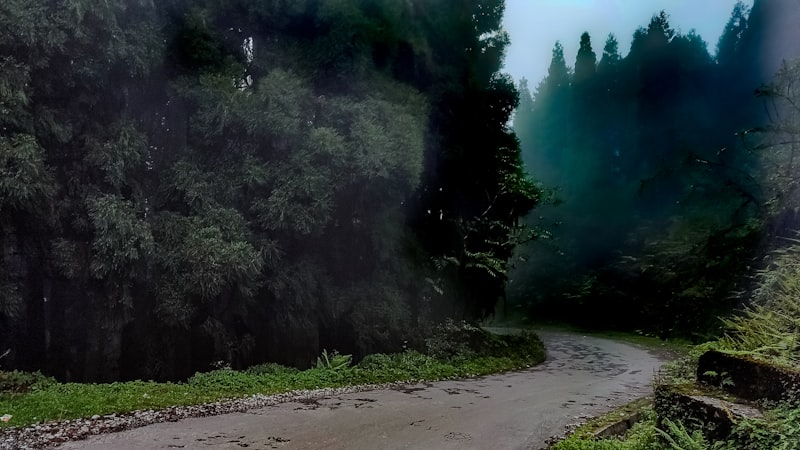 Migros Bira Fiyatları - Efes, Bomonti, Heineken Fiyatları!