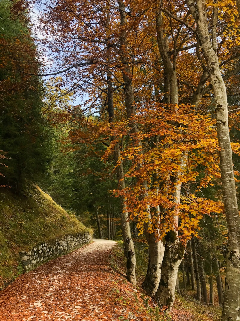 Muratti Rosso Fiyat  - Blue Line Fiyat