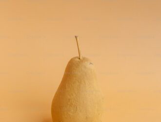 Niğde Nevşehir Patates Fiyatları - En Güncel Fiyatlar