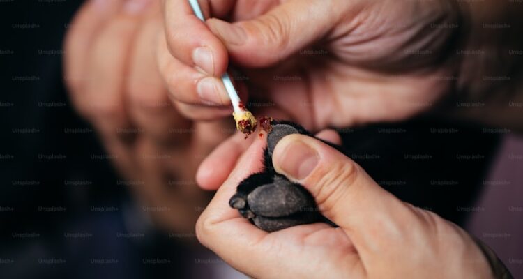 Nikotin Sakızı Eczane Fiyatı - Reçetesiz Alınır Mı?