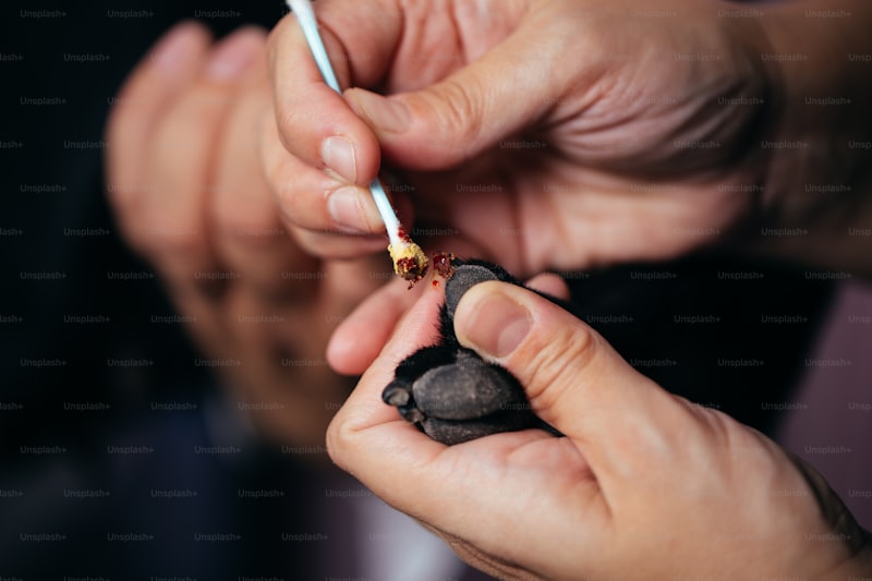 Nikotin Sakızı Eczane Fiyatı - Reçetesiz Alınır Mı?