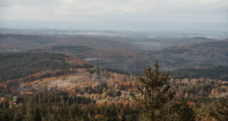 Ozon Tedavisi Fiyatları Nedir?