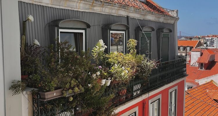 Portekiz Telefon Fiyatları - Portekiz iPhone Fiyatları - Güncel!