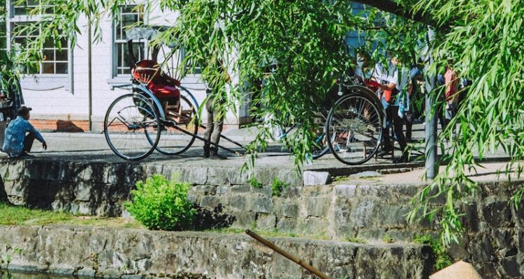 Puschkin Votka Fiyat - 35'lik Fiyat