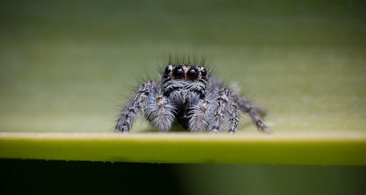Reçetesiz Satılan Adet Geciktirici Fiyatı - Güncel Fiyatlar!