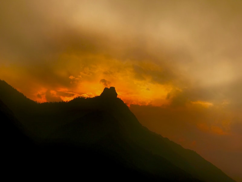 Sierra Tekila Fiyat - - 35, 50 ve 70'lik Güncel Fiyatları! Sierra Tekila Fiyat - - 35, 50 ve 70'lik Güncel Fiyatları!