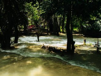 Sivex Losyon Fiyatı - En Ucuz Sivex Losyon Nereden Alınır?