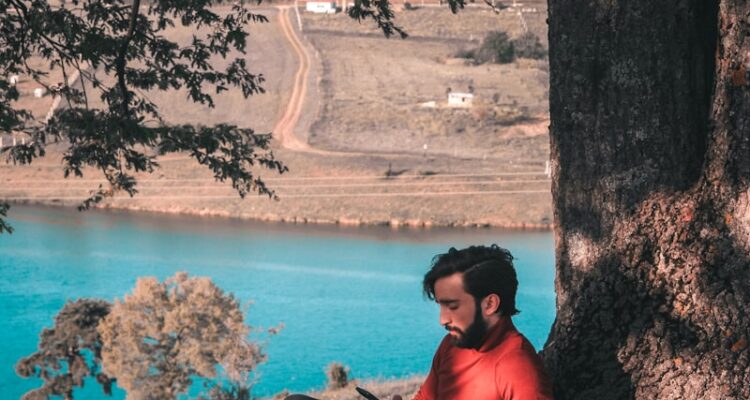 Söğüt Hal Fiyatları - Burdur Söğüt Hal Fiyatları