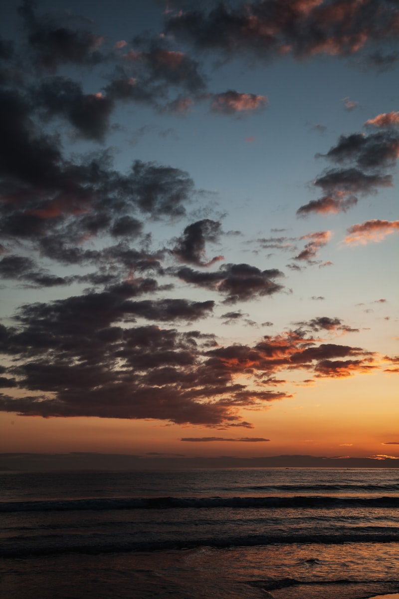 Talisker Viski Fiyatları - Talisker Skye Fiyatları Talisker Viski Fiyatları - Talisker Skye Fiyatları