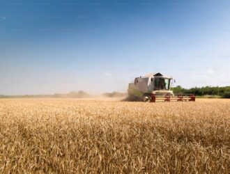 Tarım Kredi Gübre Fiyatları - Güncel Fiyatlar! Bizde Kalmasın