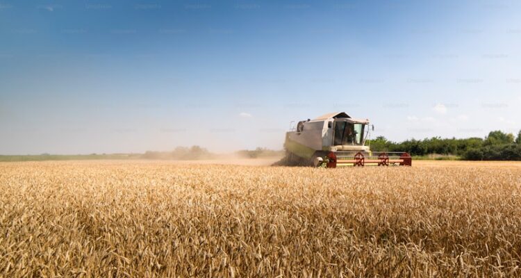 Tarım Kredi Gübre Fiyatları - Güncel Fiyatlar! Bizde Kalmasın