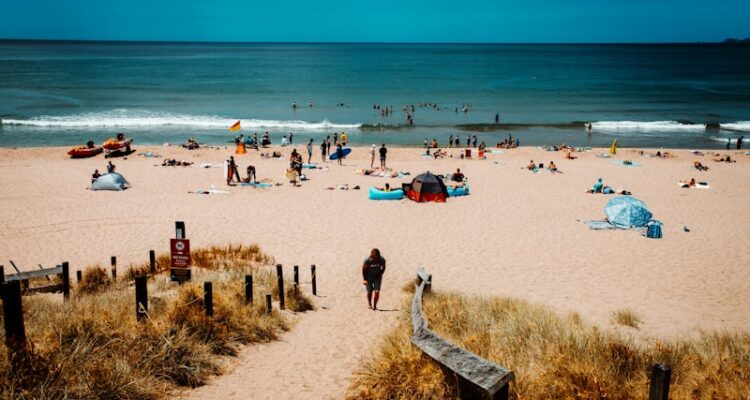 Tarsus Hal Fiyatları - Tarsus Sebze Hali Fiyat Listesi Güncel!