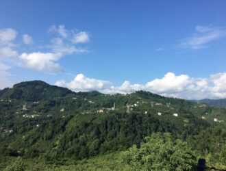 Trabzon Hal Fiyatları - Trabzon Balık Hali Fiyatları Güncel!