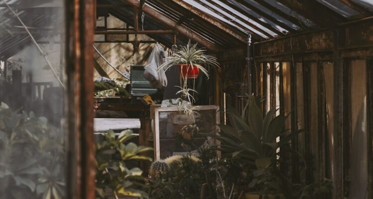 Türkiye’de Kısa Yoldan Nasıl Zengin Olunur