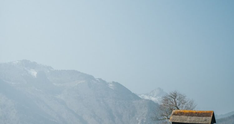 Voltaren Krem Fiyat - Güncel Fiyatlar!