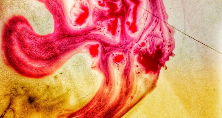 Yeni Araba Alırken Nelere Dikkat Edilmeli? Araba Tavsiyeleri