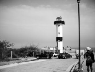 Zeytinyağı Fiyatları - Tüm Zeytinyağı Çeşitleri - Güncel!