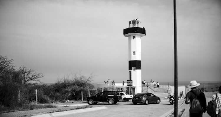 Zeytinyağı Fiyatları - Tüm Zeytinyağı Çeşitleri - Güncel!