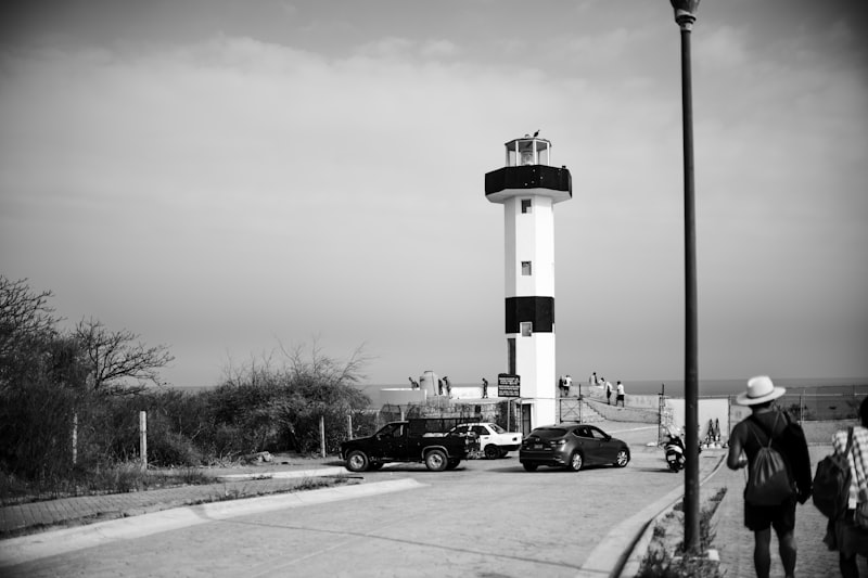 Zeytinyağı Fiyatları - Tüm Zeytinyağı Çeşitleri - Güncel!